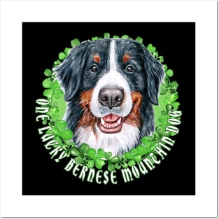 One Lucky Bernese Mountain Funny St. Patrick Dog Posters and Art